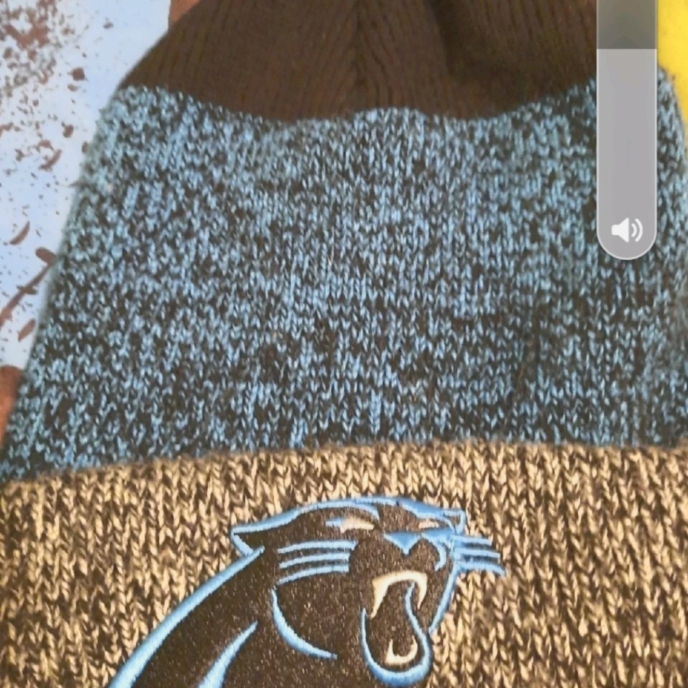 NWT Panthers beanie